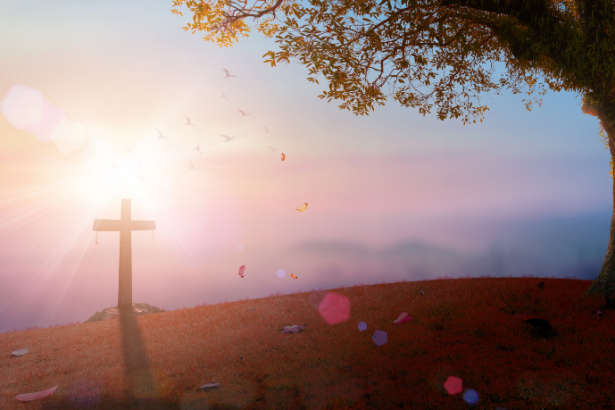 La filosofía cristiana guía la búsqueda del bien común en un mundo en transformación, en reflexión de Jose Eduardo De Oliveira e Silva.