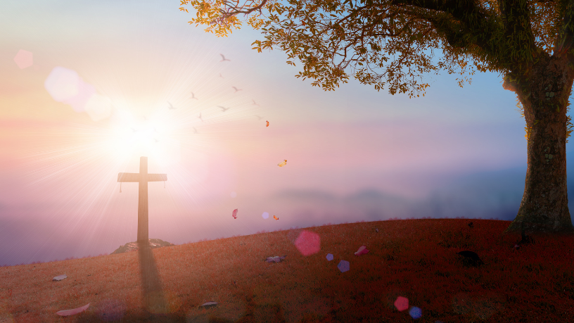 La filosofía cristiana guía la búsqueda del bien común en un mundo en transformación, en reflexión de Jose Eduardo De Oliveira e Silva.