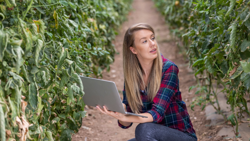 Con la visión de João Eustáquio De Almeida Junior, conozca cómo el compliance impulsa prácticas más organizadas y transparentes en el campo.