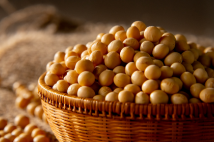 Producción de soja en Paraguay puede alcanzar 11,8 millones de toneladas y reforzar su protagonismo en el agronegocio regional