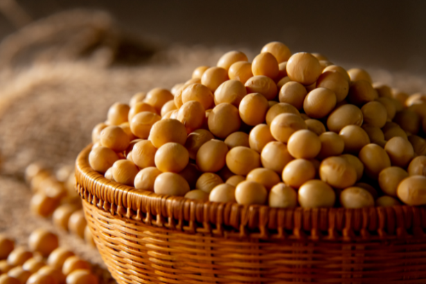 Producción de soja en Paraguay puede alcanzar 11,8 millones de toneladas y reforzar su protagonismo en el agronegocio regional